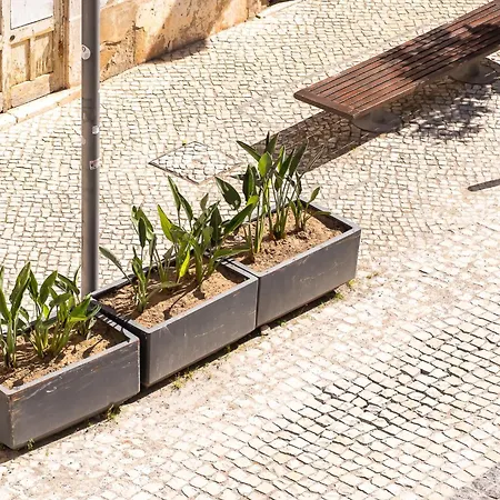 Delmar Apartment Portimão